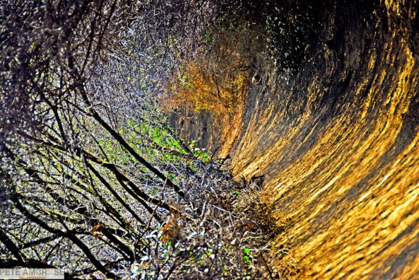 13Ethereal-Landscape